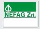 logo_nefag.jpg